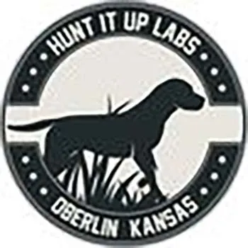 Hunt It Up Labs