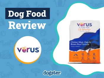 VeRUS Dog Food Review 2026: Pros, Cons & Recalls