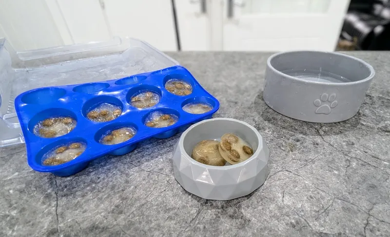 Frozen treats and an icy water bowl
