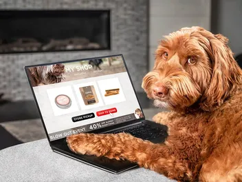 5 Best Fresh Dog Food Delivery Services in Australia: 2026 Reviews & Top Picks