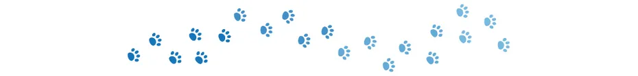 Dogster_Website dividers_v1_Jan 18 2024-01-TEST