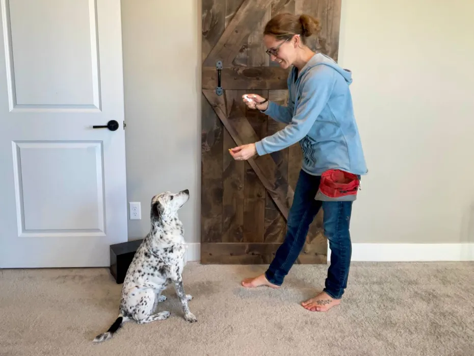 How to Train Your Dog with Love + Science Book Review - actual training of dog