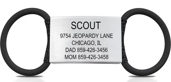 DOG iD Personalized Dog ID Tag