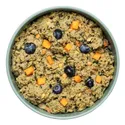 Ollie Fresh Turkey Dog Food