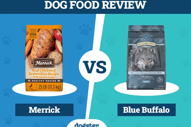 Merrick Dog Food vs Blue Buffalo 2026 Comparison: Pros & Cons