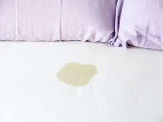What It Actually Means When a Dog Leaks Urine While They Sleep (It’s Serious)