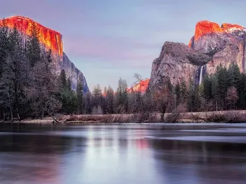 Are Dogs Allowed in Yosemite in 2026? Rules & Safety Tips
