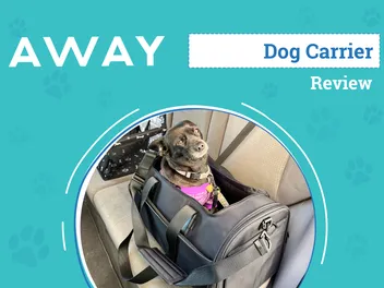 Away’s Pet Carrier Review 2026: An Expert's Breakdown