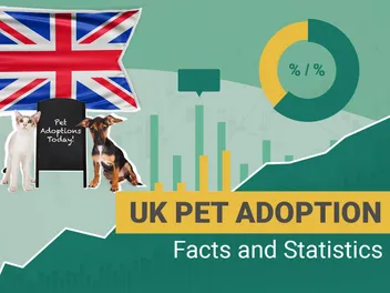 16 Pet Adoption Statistics in the UK (Updated in 2026)
