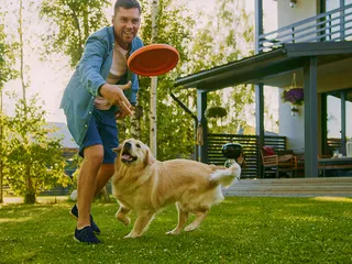 13 Outdoor Games for Dogs to Play This Summer