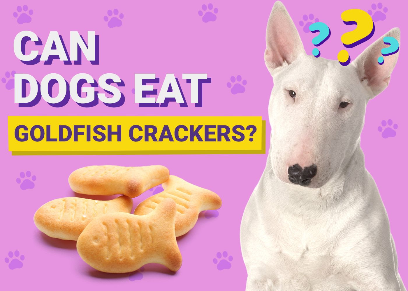 Can Dogs Eat_Goldfish Crackers