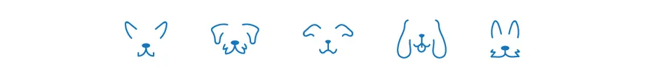 dogster face divider