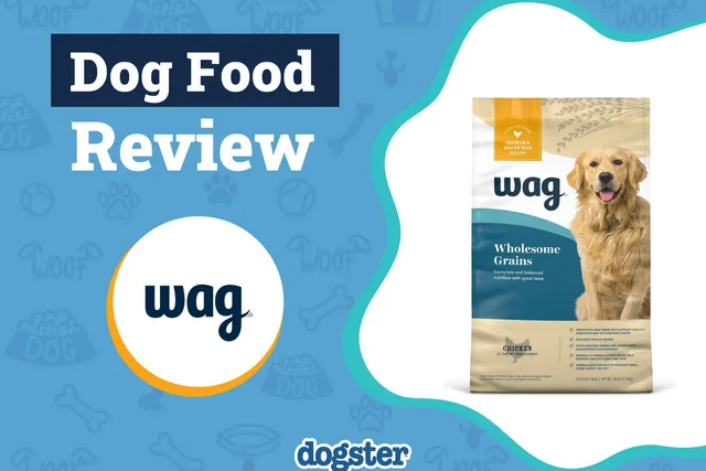 Wag Dog Food Review 2026: Recalls, Pros & Cons