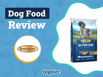 Retriever Dog Food Review 2026: Pros, Cons and Recalls