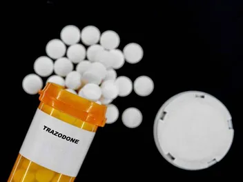 Trazodone for Dogs: Safety, Usage & Side Effects (Vet Answer)