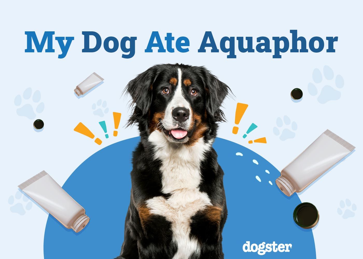 My Dog Ate Aquaphor