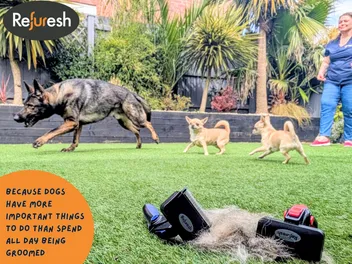 Refuresh Deshedding Tool – Professional Grooming at Home