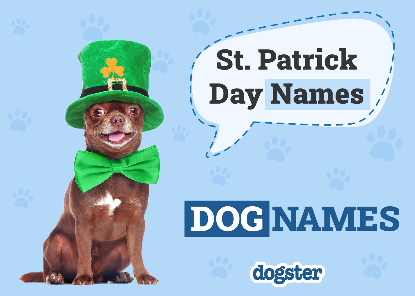 175+ St. Patrick's Day Names for Dogs (With Meanings)