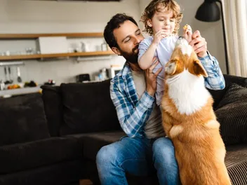 Are Corgis Good Family Dogs? What You Need to Know