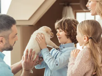 How to Take Care of a Puppy: Vet-Approved Guide for First-Timers