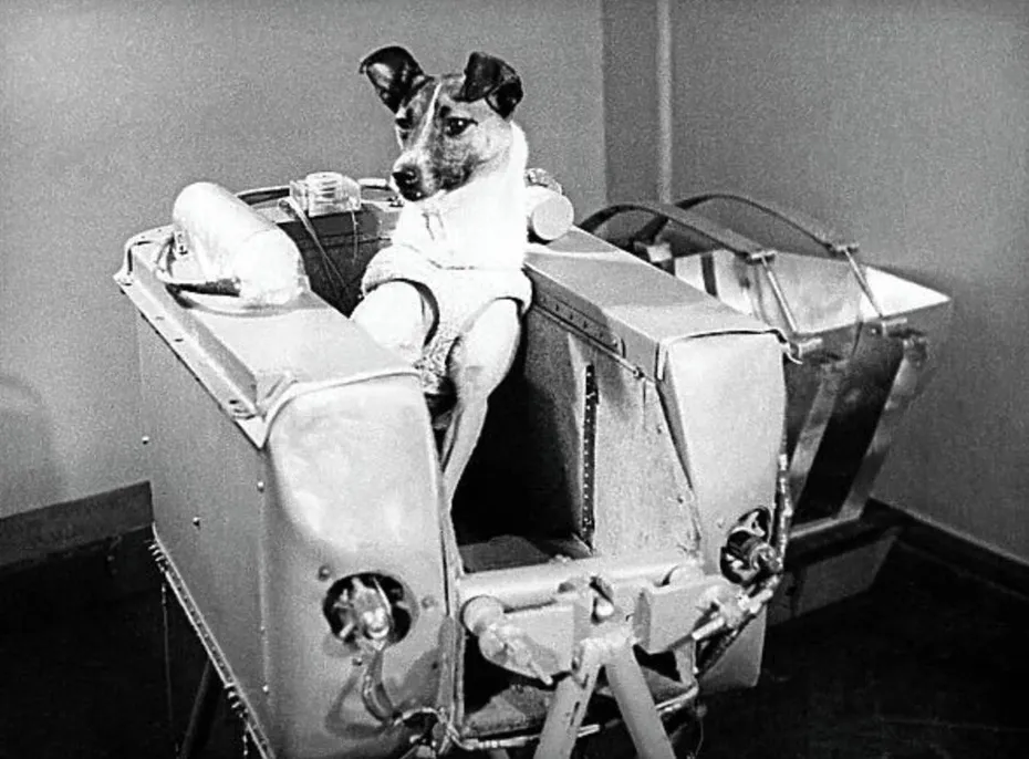 Laika (Soviet Dog)