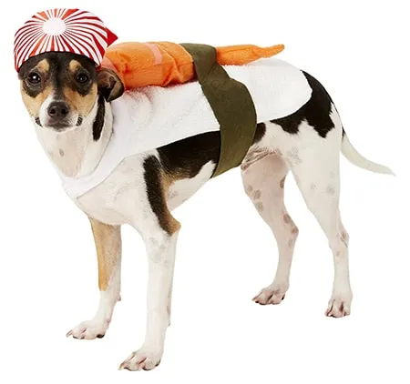 Rubie's Costume Company Sushi Dog &amp; Cat Costume