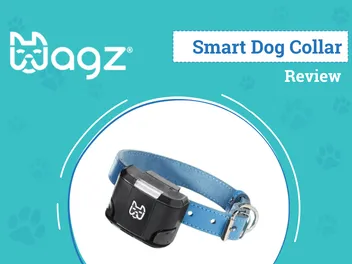 Wagz Freedom Smart Dog Collar Review 2026: Our Expert’s Opinion