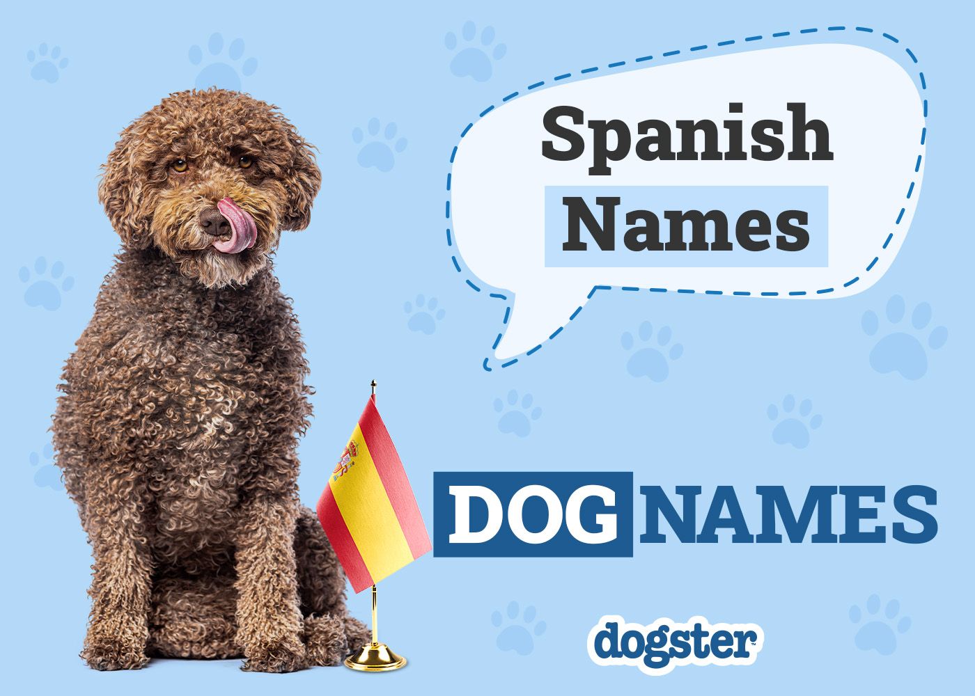 250+ Spanish Dog Names With Meanings for Male & Female Dogs