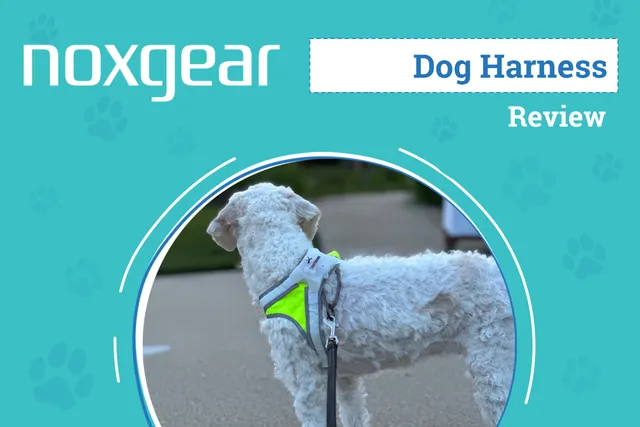Noxgear LightHound LED Dog Harness Review 2026: An Expert's Breakdown