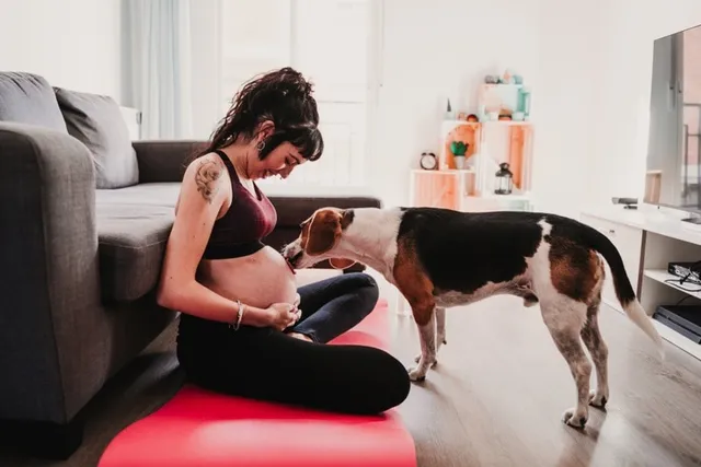 Why Is My Dog Licking My Belly Button? 7 Reasons & What to Do