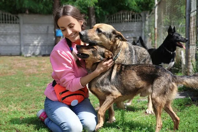How Much Does It Cost to Adopt a Dog? 2026 Update