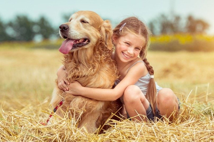 happy little girl hugging her golden retriever dog