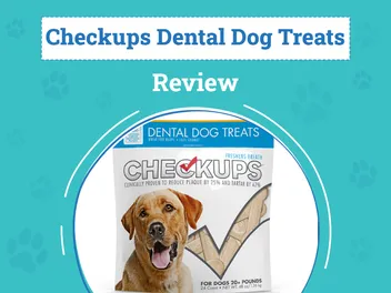 Checkups Dental Dog Treats Review 2026: Pros, Cons, Recalls & Verdict