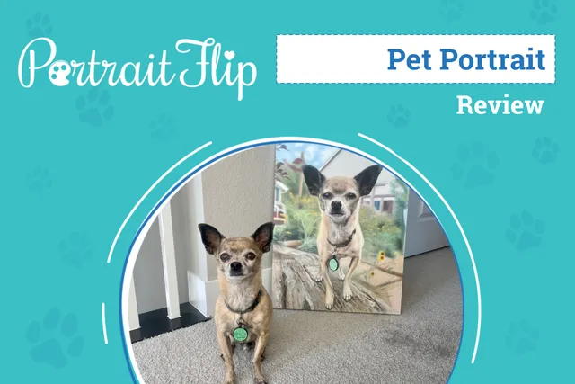 PortraitFlip Pet Portrait Review 2026: An Expert's Breakdown