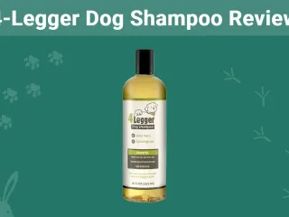 4-Legger Dog Shampoo Review 2026: Our Final Verdict
