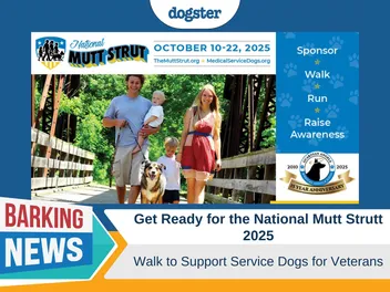 Get Ready for the National Mutt Strutt 2025: Walk to Support Service Dogs for Veterans