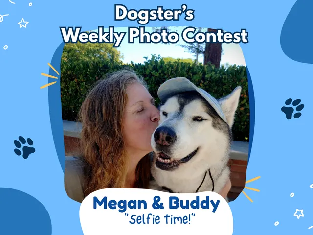 Dogster’s Weekly Photo Contest Winners: Selfie Time! (September 14, 2026)