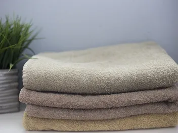 How to Wash Dog Urine Out of Towels & Laundry (6 Quick Steps)