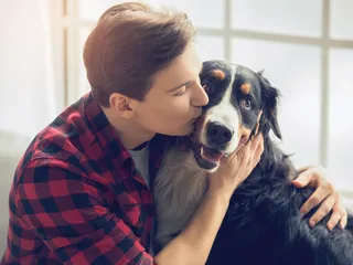 When Did People Start Keeping Dogs as Pets? Vet-Verified Facts & Timeline