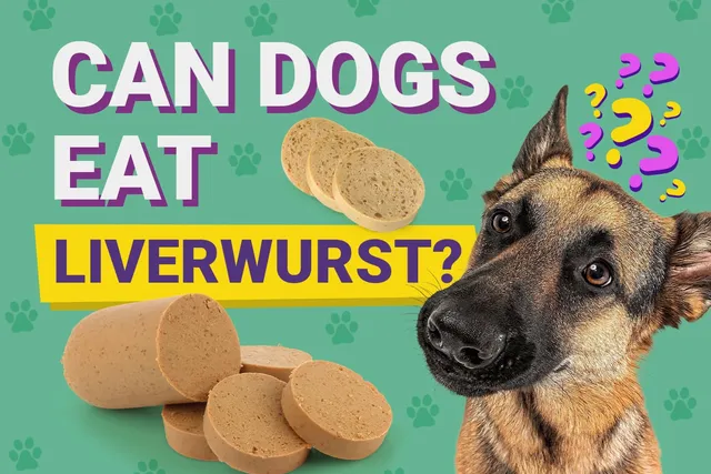 Can Dogs Eat Liverwurst? Vet-Verified Nutrition Facts & Risks