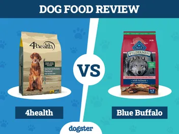 4Health vs Blue Buffalo Dog Food: 2026 Comparison, Pros & Cons