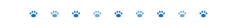 divider dog paws 3 oct 2024