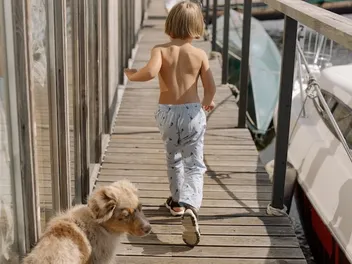 Why Does My Australian Shepherd Follow Me Everywhere? 4 Reasons & Tips to Prevent It