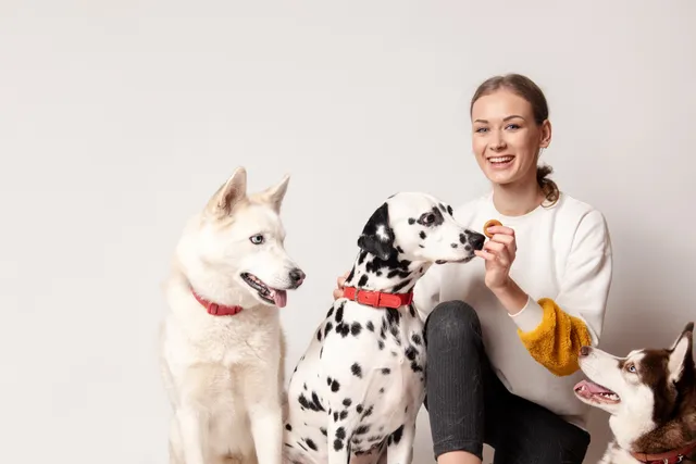 Owning a Dog as a Single Person: 10 Tips for Success