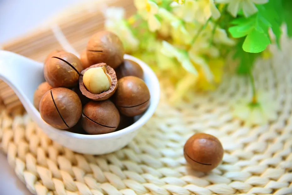 Macadamia Nuts served on a spoon