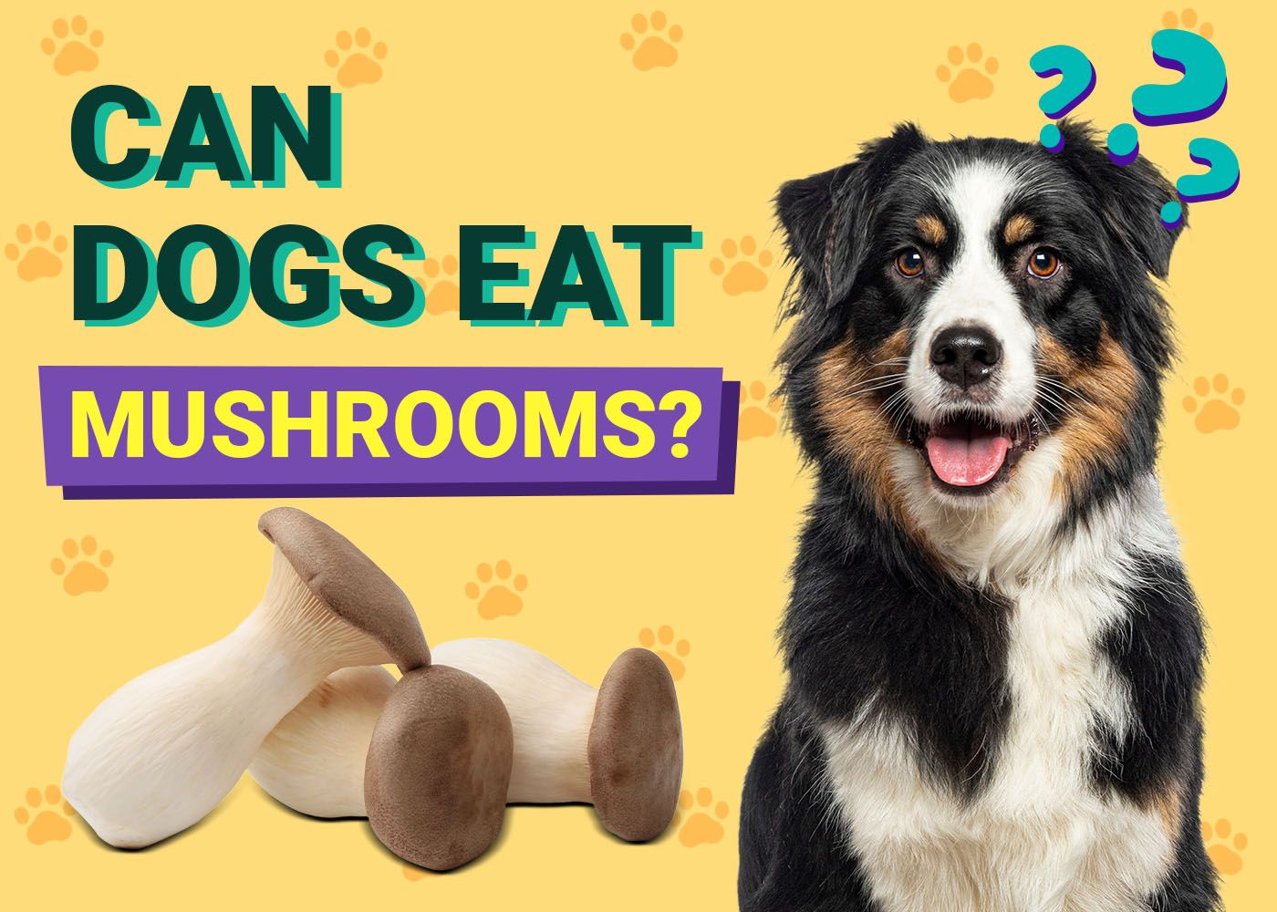 Can Dogs Eat Mushrooms