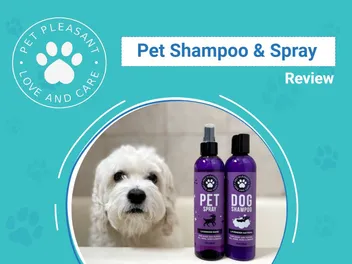 Honeydew Pet Pleasant Shampoo & Spray Set Review 2026: An Expert's Breakdown