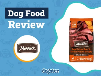 Merrick Dog Food Review 2026: Recalls, Pros & Cons