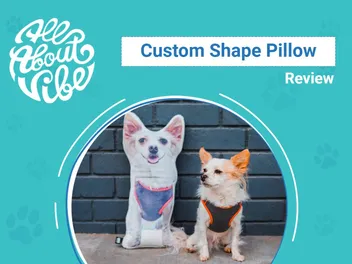 All About Vibe Custom Shape Pillow Review 2026: An Expert Breakdown