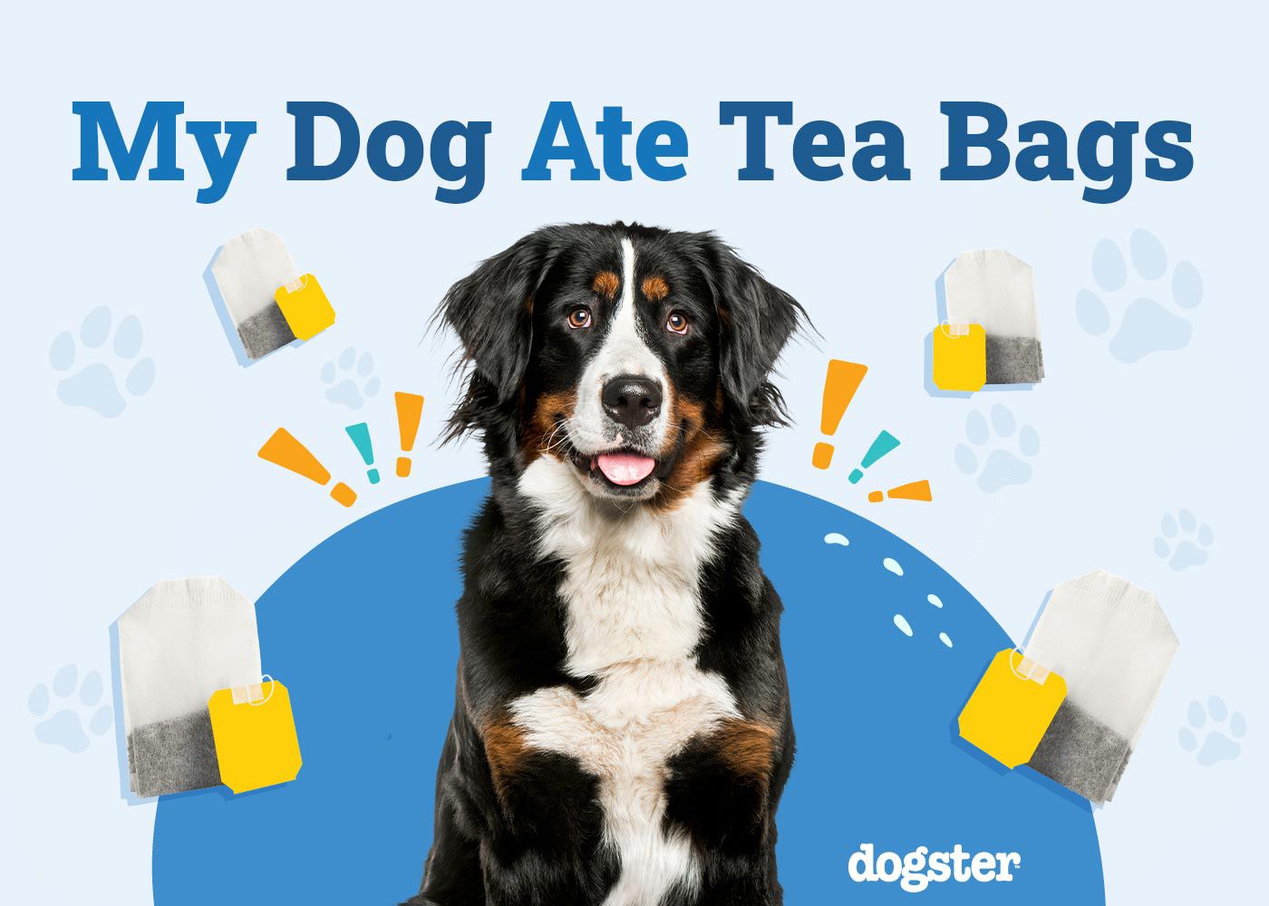 My Dog Ate Tea Bags